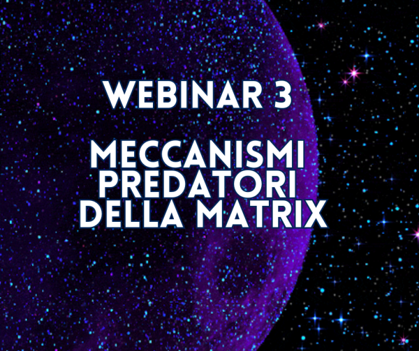 Webinar 3